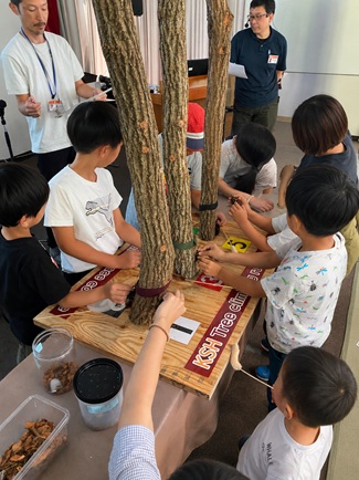 カブトムシまつり2026様子.jpg