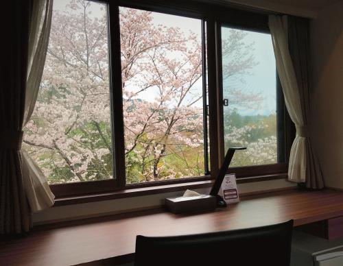 スタンダードツインルームから見る桜.JPG